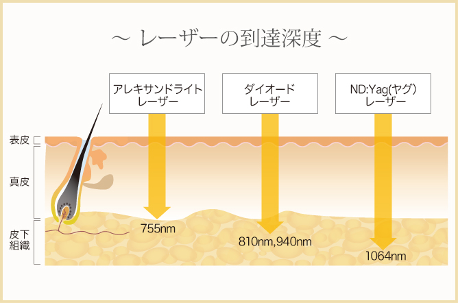 ? レーザーの到達深度 ?